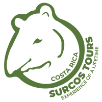 SURCOS TOURS