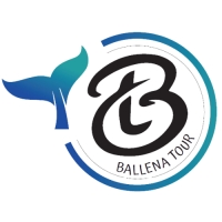 BALLENA TOUR