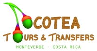 OCOTEA TOURS